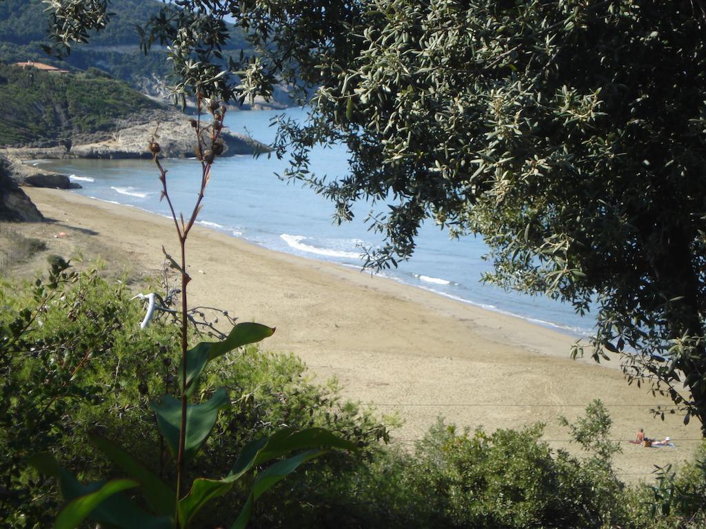 Apartment Arinella